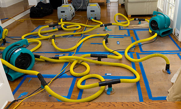 Professional Burst Pipe Water Damage technician working in Fowler, OH
